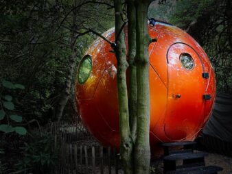 une capsule spatiale conker living vient de se poser sur une planète inconnue, la couleur orange intrigue les habitants de cette nouvelle planète qui s'attendent à voir descendre des humains par la porte arrondie d'un moment à l'autre