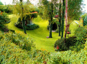 maison organique de l'architecte mexicain Javier Senosiain, avec son toit végtétalisé
