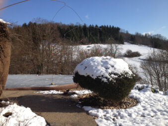la vue sur la campagne depuis la maison bulle d'Antonio Benincà dans la Loire, on y voit surtout le bassin à poissons rouges qui est gelé car c'est l'hiver et toute la campagne est couverte d'un manteau blanc