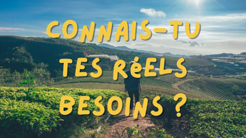 image avec une personne dans la nature, au milieu de la campagne, avec une vue au loin. Et le texte en jaune qui dit : Connais-tu tes réels besoins ?