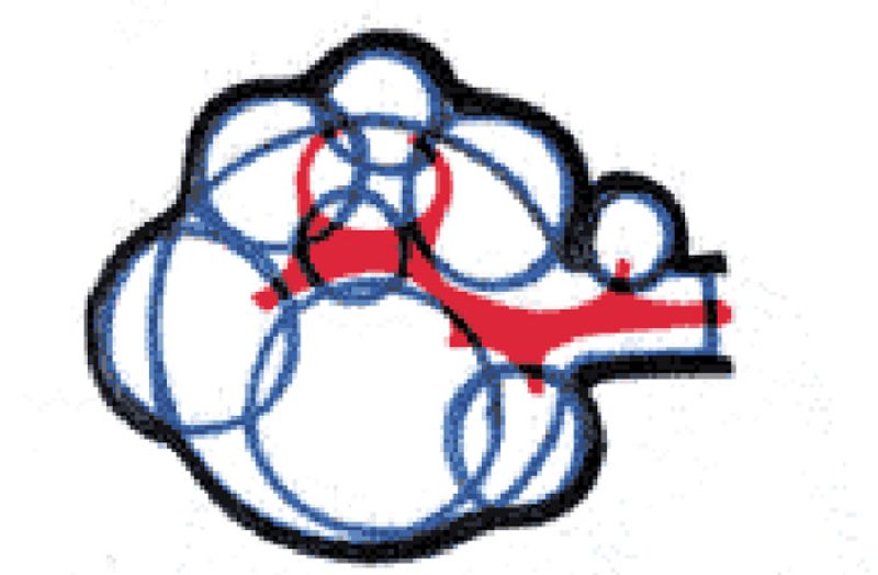 categorie-ecobul-700